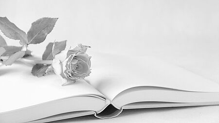 Schwarzweißes Bild einer weißen Rose auf einem Buch