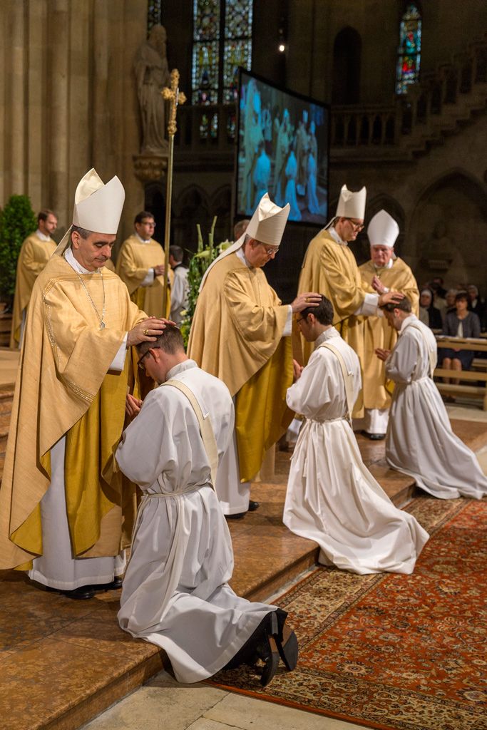 Priesterweihe 2015 im Dom St. Peter.